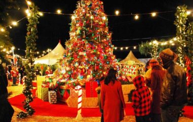 Celebrating Christmas in Egypt
