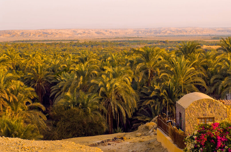 Dakhla Oasis