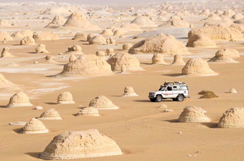 Bahariya Oasis