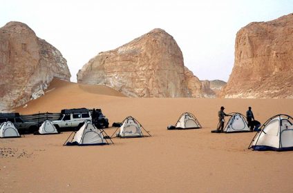 bahariya oasis